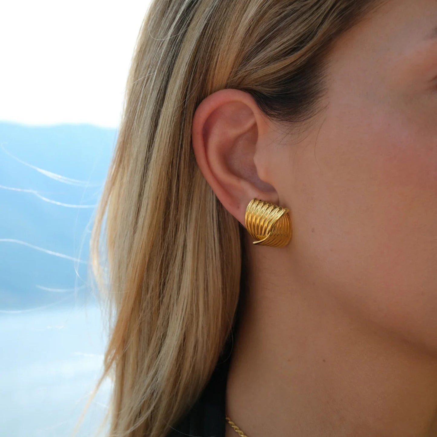 Texture Gold Stainless Steel Stud Earrings