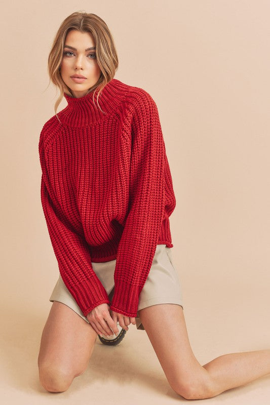 AEMI & Co. Luxe Turtleneck Knit Sweater- Adelaide Sweater