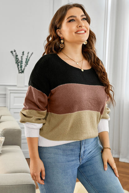 SYNZ Plus Size Color Block Round Neck Sweater