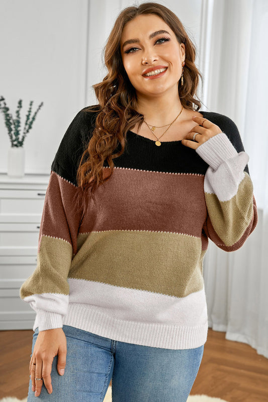 SYNZ Plus Size Color Block Round Neck Sweater