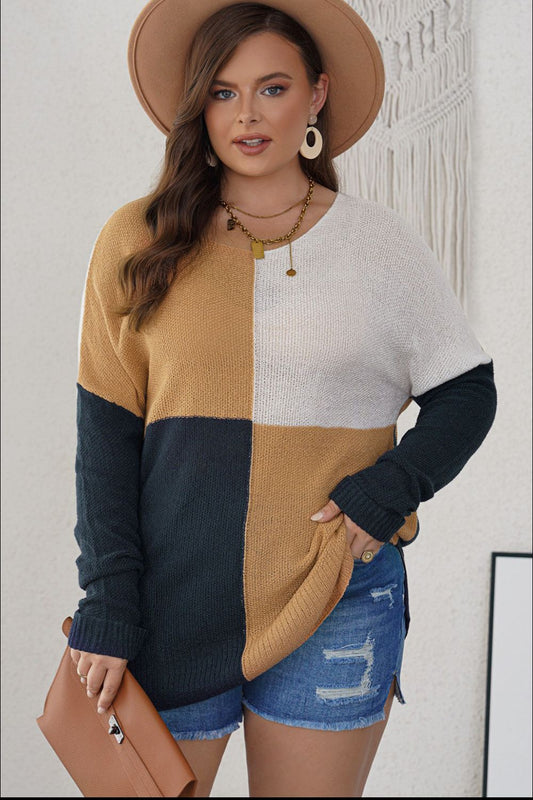 SYNZ Plus Size Color Block Round Neck Sweater