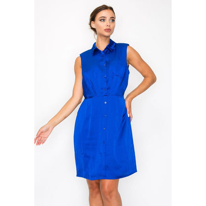 Woven Button-down Pleated Knee-length Shirt Dress